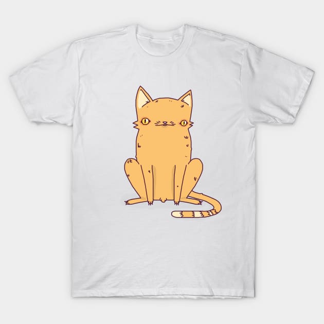 Weird Kitty T-Shirt by ControllerGeek